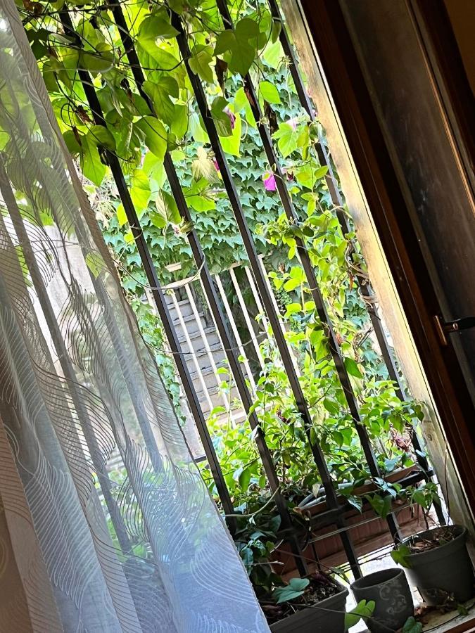 Le Donjon De La Roquette Apartment อาร์ลส์ ภายนอก รูปภาพ